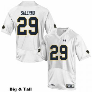 Notre Dame Fighting Irish Men's Matt Salerno #29 White Under Armour Authentic Stitched Big & Tall College NCAA Football Jersey IBG4499OY